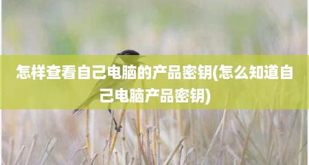 怎样查看自己电脑的产品密钥(怎么知道自己电脑产品密钥)