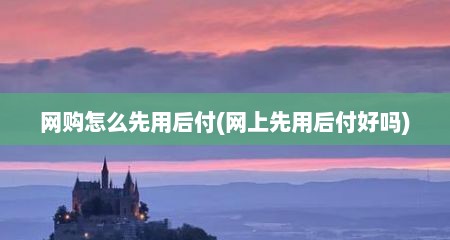 网购怎么先用后付(网上先用后付好吗)