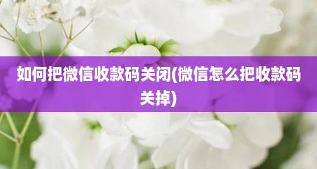 如何把微信收款码关闭(微信怎么把收款码关掉)