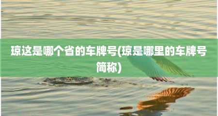 琼这是哪个省的车牌号(琼是哪里的车牌号简称)