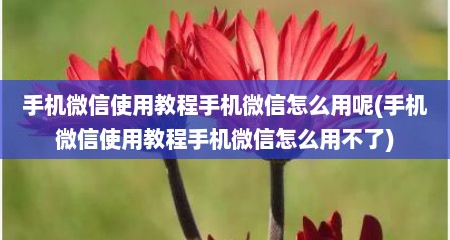 手机微信使用教程手机微信怎么用呢(手机微信使用教程手机微信怎么用不了)