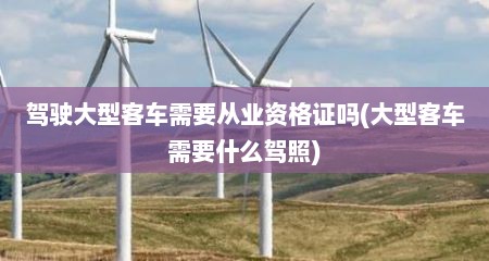驾驶大型客车需要从业资格证吗(大型客车需要什么驾照)