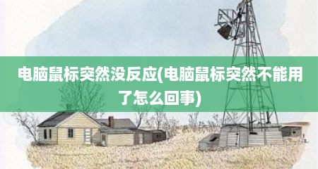 电脑鼠标突然没反应(电脑鼠标突然不能用了怎么回事)