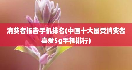 消费者报告手机排名(中国十大最受消费者喜爱5g手机排行)