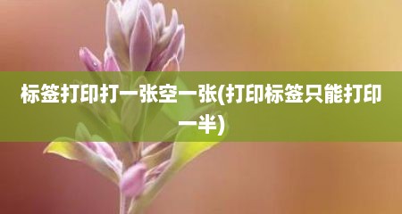 标签打印打一张空一张(打印标签只能打印一半)