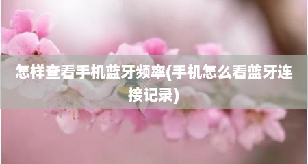 怎样查看手机蓝牙频率(手机怎么看蓝牙连接记录)