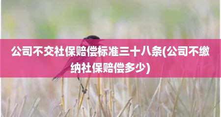 公司不交社保赔偿标准三十八条(公司不缴纳社保赔偿多少)