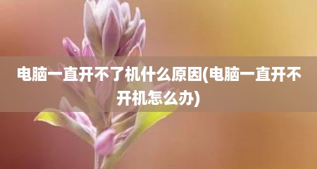电脑一直开不了机什么原因(电脑一直开不开机怎么办)