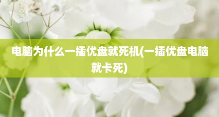 电脑为什么一插优盘就死机(一插优盘电脑就卡死)