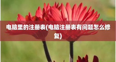 电脑里的注册表(电脑注册表有问题怎么修复)