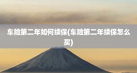 车险第二年如何续保(车险第二年续保怎么买)