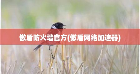 傲盾防火墙官方(傲盾网络加速器)