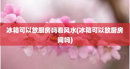 冰箱可以放厨房吗看风水(冰箱可以放厨房间吗)