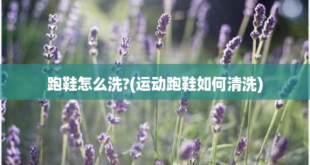 跑鞋怎么洗?(运动跑鞋如何清洗)