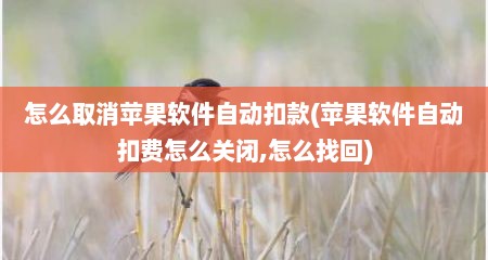 怎么取消苹果软件自动扣款(苹果软件自动扣费怎么关闭,怎么找回)