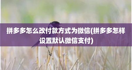 拼多多怎么改付款方式为微信(拼多多怎样设置默认微信支付)