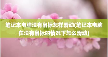 笔记本电脑没有鼠标怎样滑动(笔记本电脑在没有鼠标的情况下怎么滑动)