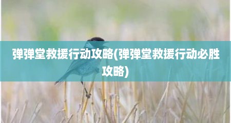 弹弹堂救援行动攻略(弹弹堂救援行动必胜攻略)