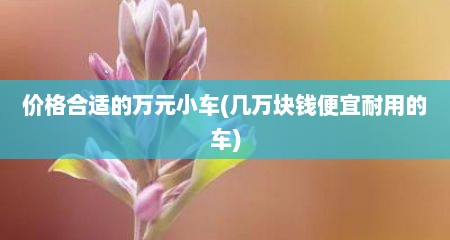价格合适的万元小车(几万块钱便宜耐用的车)