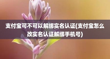 支付宝可不可以解绑实名认证(支付宝怎么改实名认证解绑手机号)