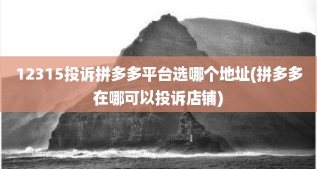 12315投诉拼多多平台选哪个地址(拼多多在哪可以投诉店铺)