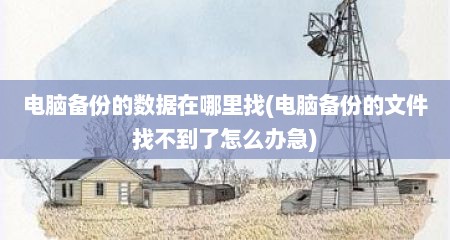 电脑备份的数据在哪里找(电脑备份的文件找不到了怎么办急)