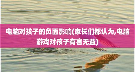 电脑对孩子的负面影响(家长们都认为,电脑游戏对孩子有害无益)