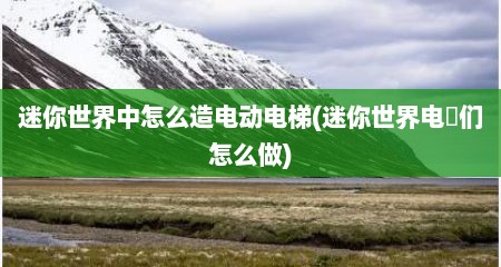 迷你世界中怎么造电动电梯(迷你世界电挮们怎么做)