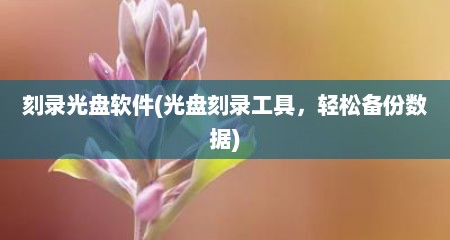 刻录光盘软件(光盘刻录工具，轻松备份数据)