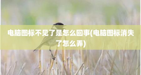 电脑图标不见了是怎么回事(电脑图标消失了怎么弄)