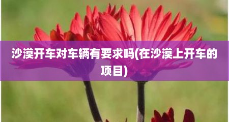 沙漠开车对车辆有要求吗(在沙漠上开车的项目)