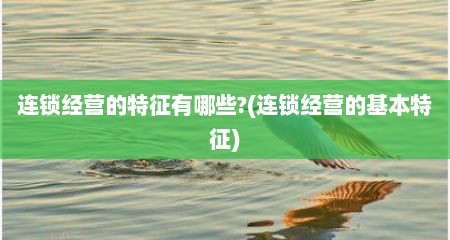 连锁经营的特征有哪些?(连锁经营的基本特征)