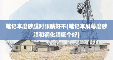 笔记本磨砂膜对眼睛好不(笔记本屏幕磨砂膜和钢化膜哪个好)