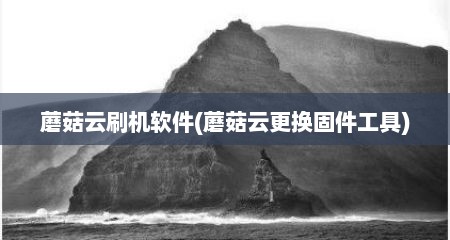 蘑菇云刷机软件(蘑菇云更换固件工具)