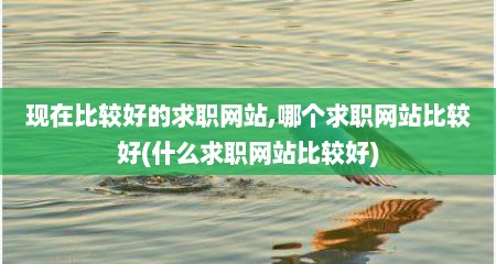 现在比较好的求职网站,哪个求职网站比较好(什么求职网站比较好)