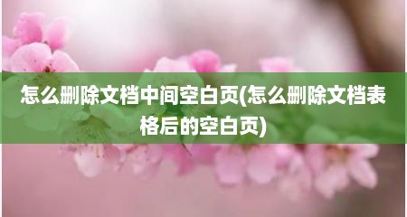 怎么删除文档中间空白页(怎么删除文档表格后的空白页)