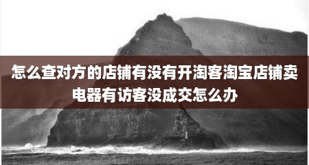 怎么查对方的店铺有没有开淘客淘宝店铺卖电器有访客没成交怎么办