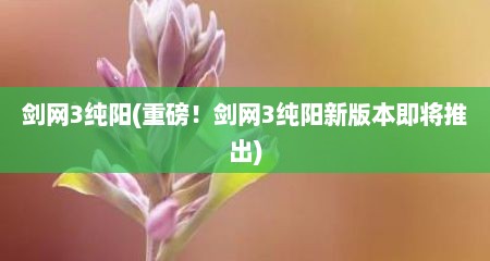 剑网3纯阳(重磅！剑网3纯阳新版本即蒋推出)