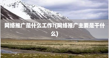 网络推广是什么工作?(网络推广主要是干什么)
