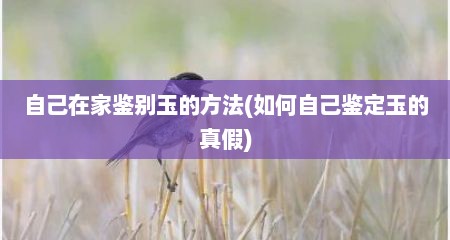 自己在家鉴别玉的方法(如何自己鉴定玉的真假)