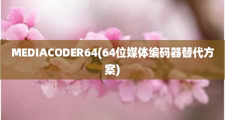 MEDIACODER64(64位媒体编码器替代方案)