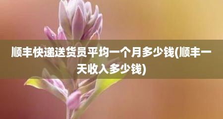 顺丰快递送货员平均一个月多少钱(顺丰一天收入多少钱)