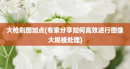 大枪刷图加点(专家分享如何高效进行图像大规模处理)