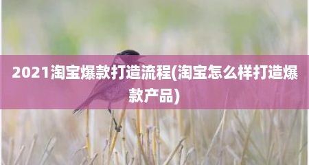 2021淘宝爆款打造流程(淘宝怎么样打造爆款产品)