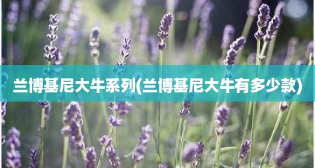 兰博基尼大牛系列(兰博基尼大牛有多少款)