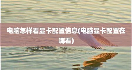 电脑怎样看显卡配置信息(电脑显卡配置在哪看)