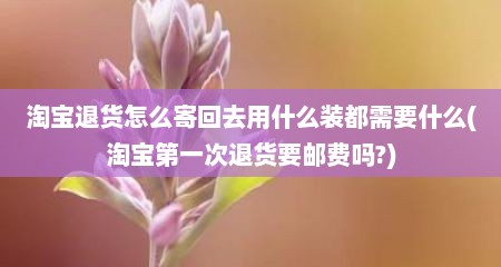 淘宝退货怎么寄回去用什么装都需要什么(淘宝第一次退货要邮费吗?)
