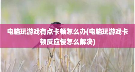 电脑玩游戏有点卡顿怎么办(电脑玩游戏卡顿反应慢怎么解决)