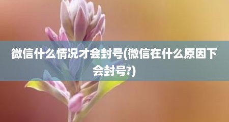 微信什么情况才会封号(微信在什么原因下会封号?)