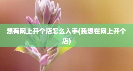 想有网上开个店怎么入手(我想在网上开个店)